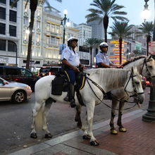 NEW ORLEANS, LOUISIANA