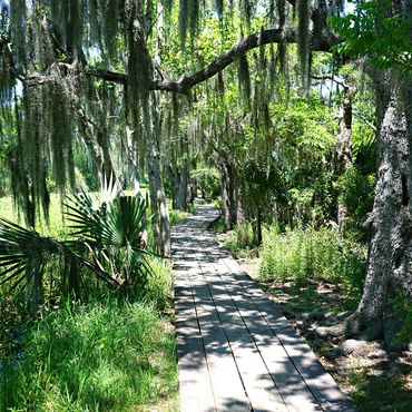 LOUISIANA'S BAYOUS, SWAMPS AND PRESERVES