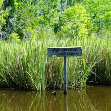 LOUISIANA'S BAYOUS, SWAMPS AND PRESERVES