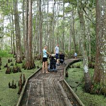 LOUISIANA'S BAYOUS, SWAMPS AND PRESERVES