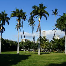 WAIKIKI & HONOLULU, HAWAII