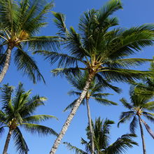 WAIKIKI & HONOLULU, HAWAII