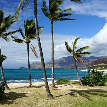 HAWAII (OAHU) BEACHES