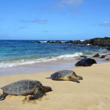 HAWAII (OAHU) BEACHES