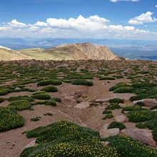 MT EVANS & PIKES PEAK, COLORADO