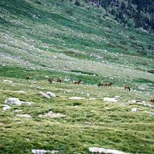 MT EVANS & PIKES PEAK, COLORADO