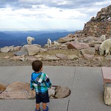 MT EVANS & PIKES PEAK, COLORADO