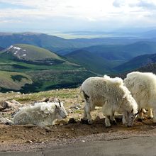 MT EVANS & PIKES PEAK, COLORADO