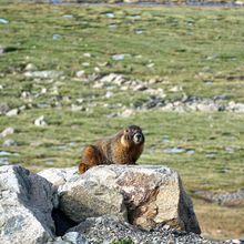 MT EVANS & PIKES PEAK, COLORADO