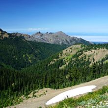 OLYMPIC NATIONAL PARK, WASHINGTON