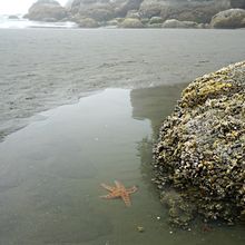 OLYMPIC NATIONAL PARK, WASHINGTON