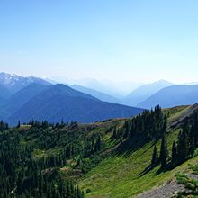 OLYMPIC NATIONAL PARK, WASHINGTON