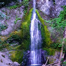 OLYMPIC NATIONAL PARK, WASHINGTON