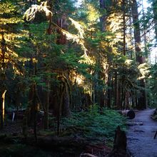 OLYMPIC NATIONAL PARK, WASHINGTON