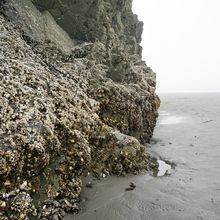 OLYMPIC NATIONAL PARK, WASHINGTON