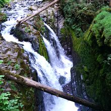 OLYMPIC NATIONAL PARK, WASHINGTON