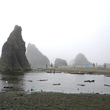 OLYMPIC NATIONAL PARK, WASHINGTON