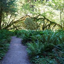 OLYMPIC NATIONAL PARK, WASHINGTON