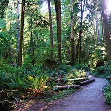 OLYMPIC NATIONAL PARK, WASHINGTON