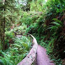 OLYMPIC NATIONAL PARK, WASHINGTON