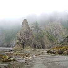 OLYMPIC NATIONAL PARK, WASHINGTON