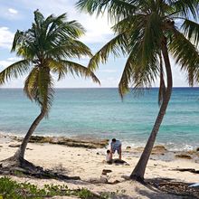 ISLA CATALINA, DOMINICAN REPUBLIC