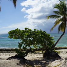 ISLA CATALINA, DOMINICAN REPUBLIC