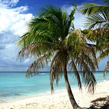 ISLA CATALINA, DOMINICAN REPUBLIC