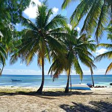 ISLA SAONA, DOMINICAN REPUBLIC