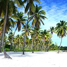 ISLA SAONA, DOMINICAN REPUBLIC