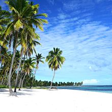 ISLA SAONA, DOMINICAN REPUBLIC