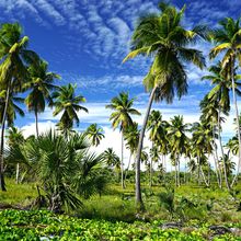 ISLA SAONA, DOMINICAN REPUBLIC