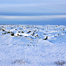 WILD ICELAND