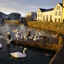 REYKJAVIK, ICELAND