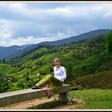 CAMERON HIGHLANDS, MALAYSIA