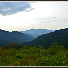 CAMERON HIGHLANDS, MALAYSIA