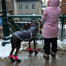 QUEBEC CITY, CANADA