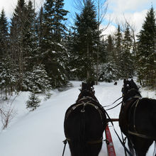 FUN IN THE SNOW, QUEBEC, CANADA