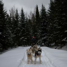 FUN IN THE SNOW, QUEBEC, CANADA