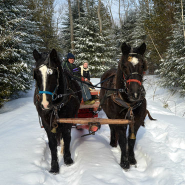 FUN IN THE SNOW, QUEBEC, CANADA