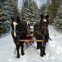 FUN IN THE SNOW, QUEBEC, CANADA