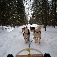 FUN IN THE SNOW, QUEBEC, CANADA