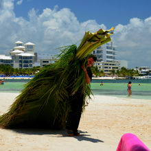 MEXICO BEACHES