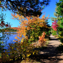 FALL IN ALGONQUIN PROVINCIAL PARK, CANADA