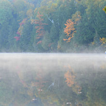 FALL IN ALGONQUIN PROVINCIAL PARK, CANADA