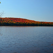 FALL IN ALGONQUIN PROVINCIAL PARK, CANADA