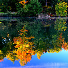 FALL IN ALGONQUIN PROVINCIAL PARK, CANADA