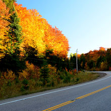 FALL IN ALGONQUIN PROVINCIAL PARK, CANADA