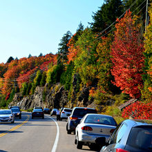 FALL IN ALGONQUIN PROVINCIAL PARK, CANADA