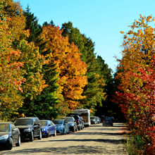 FALL IN ALGONQUIN PROVINCIAL PARK, CANADA